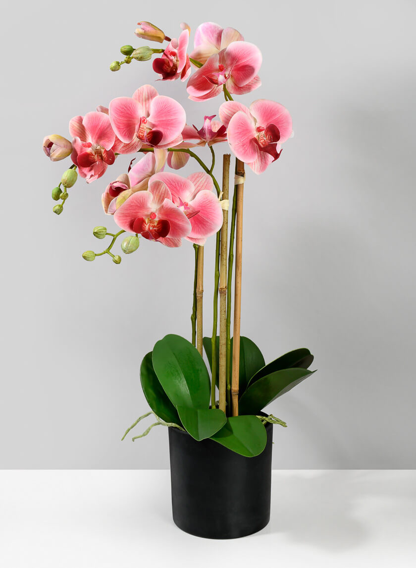 26in Tall Pink Phalaenopsis Orchid In a Pot Decor Jamali-garden