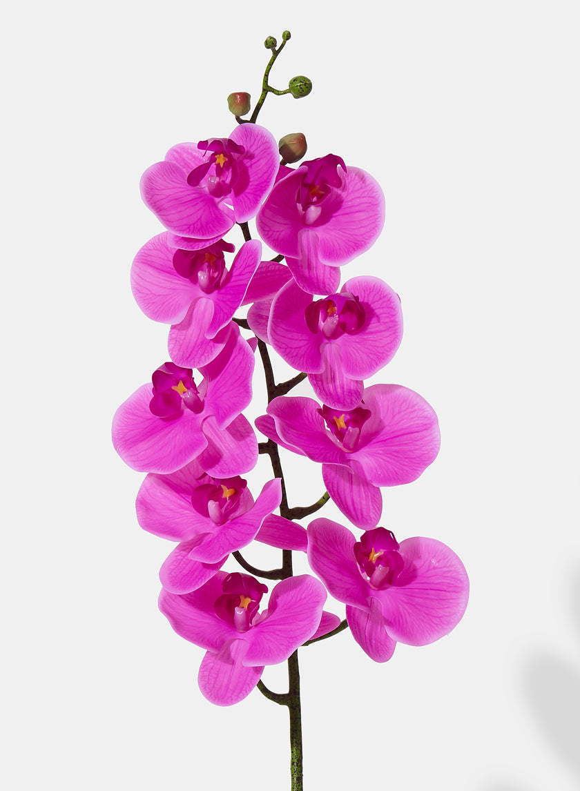 38in Long Pink Phalaenopsis Orchid Decor Jamali-garden