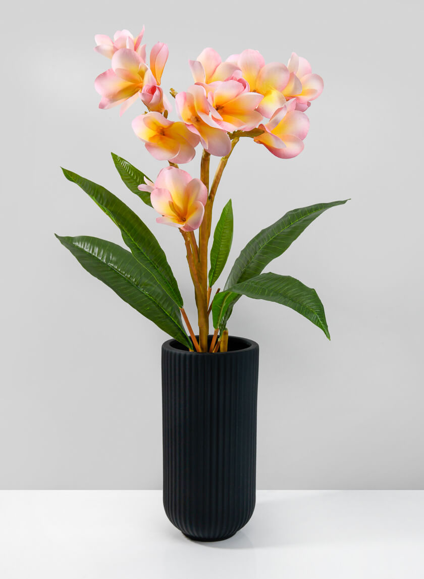 9.5in Tall Oslo Black Vase, Medium Decor Jamali-garden