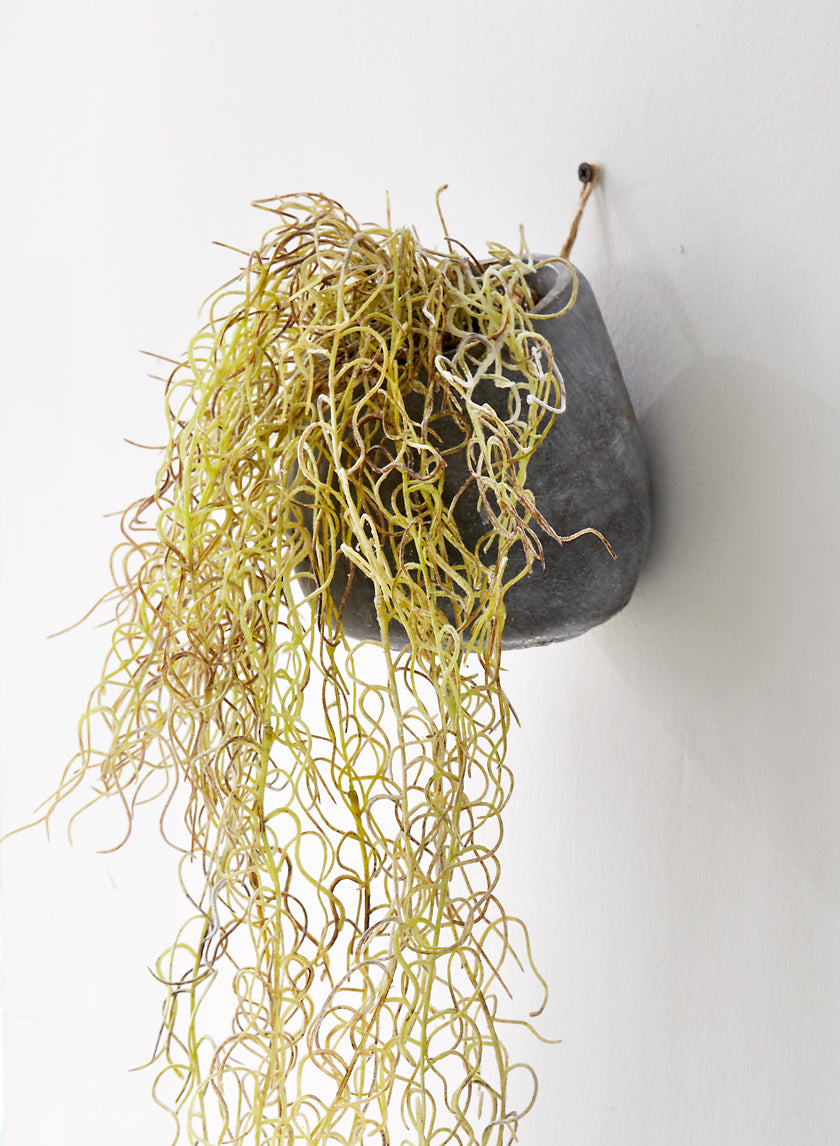 36in Tall Flocked Spanish Moss In Wall Pot Decor Jamali-garden