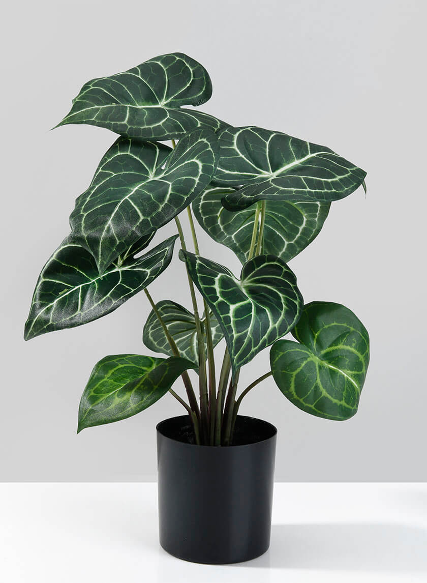 15in Tall Potted Anthurium Plant Decor Jamali-garden