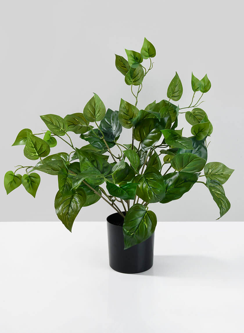 16.5in Tall Potted Pothos Decor Jamali-garden