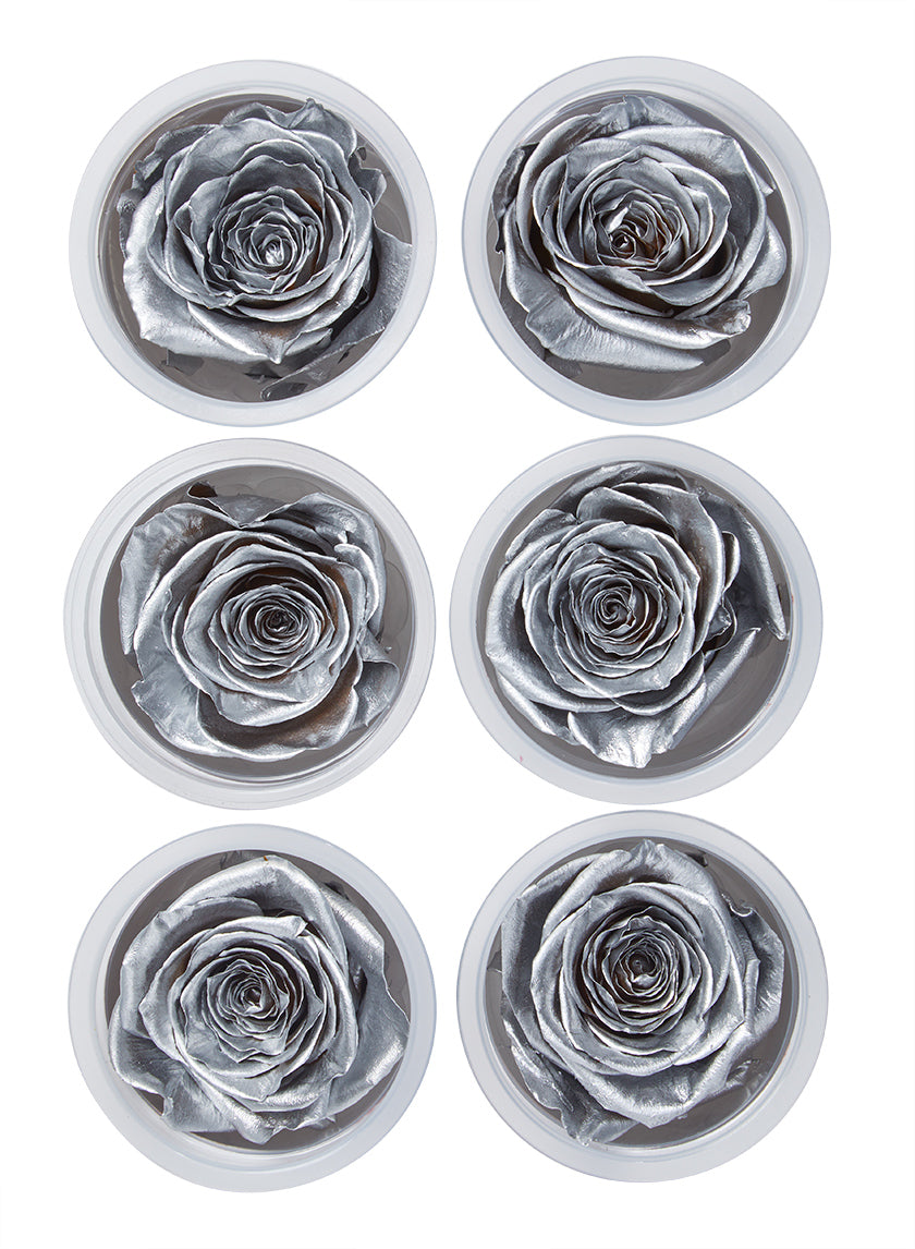 Preserved Silver Roses, Set of 6 Decor Jamali-garden