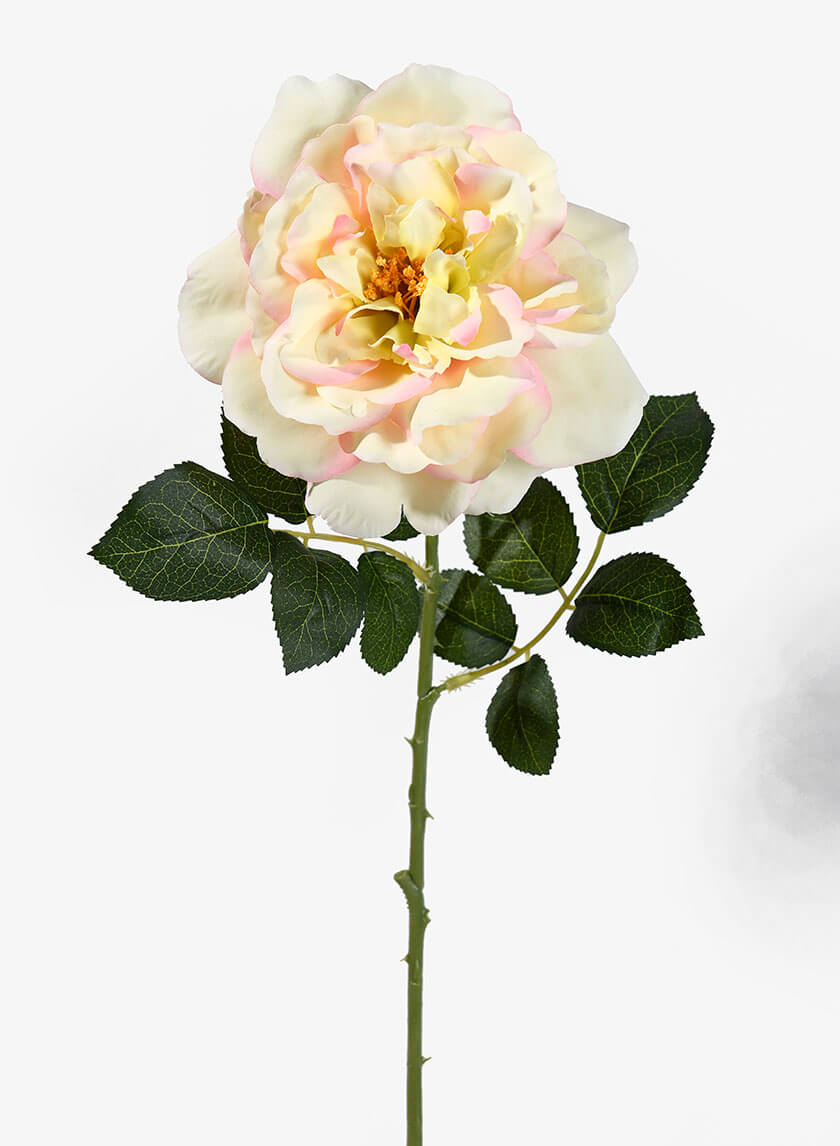 24.5in Long Pink &amp; Cream Provence Rose Spray Decor Jamali-garden