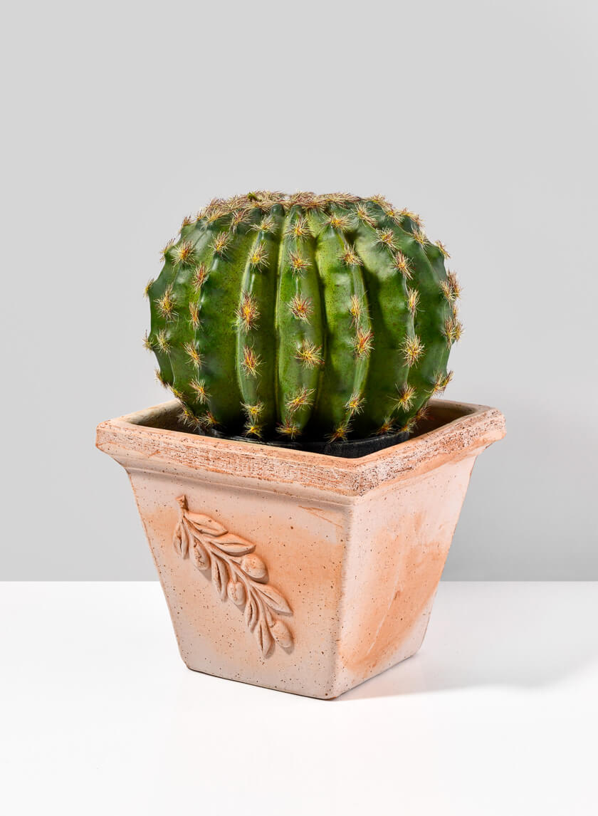 7.75in Tall Square Quadra Olive Pot Decor Jamali-garden