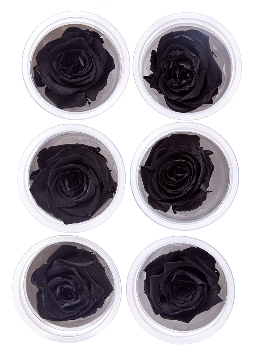 Preserved Luxurious Black Rose, Set of 6 Decor Jamali-garden