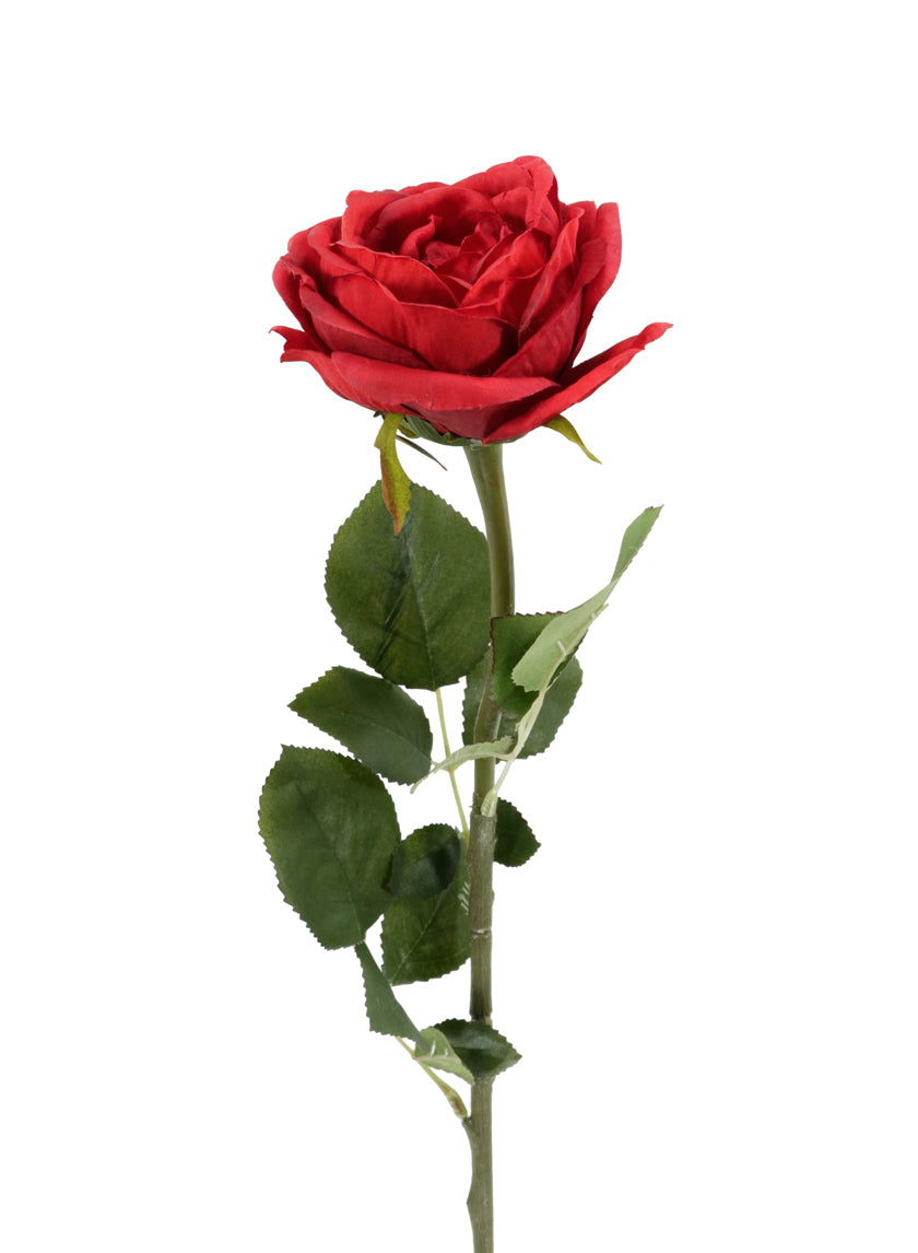27in Long Red Cabbage Rose Decor Jamali-garden