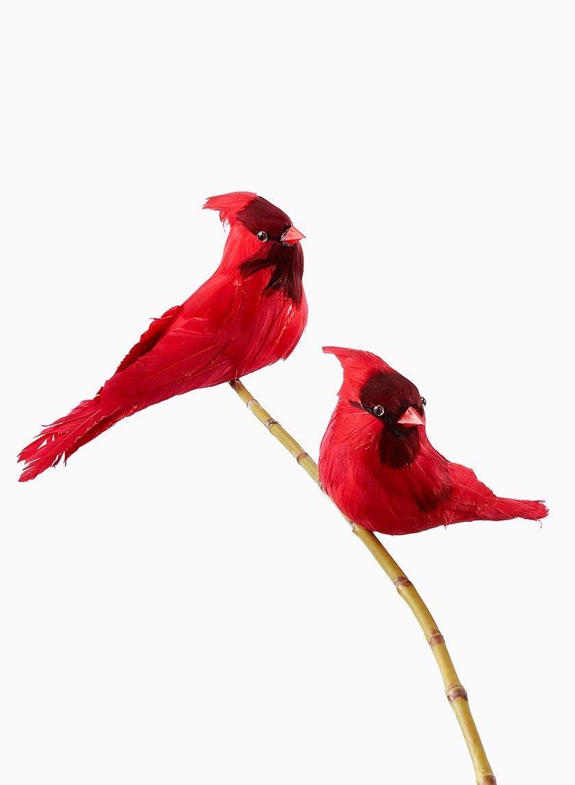 Cardinals Decor Jamali-garden