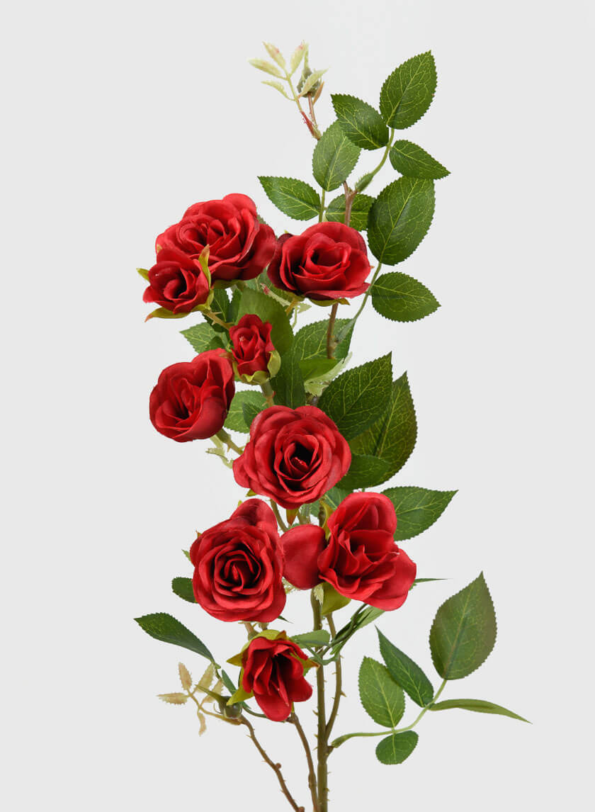 32in Long Red Old China Monthly Rose Decor Jamali-garden