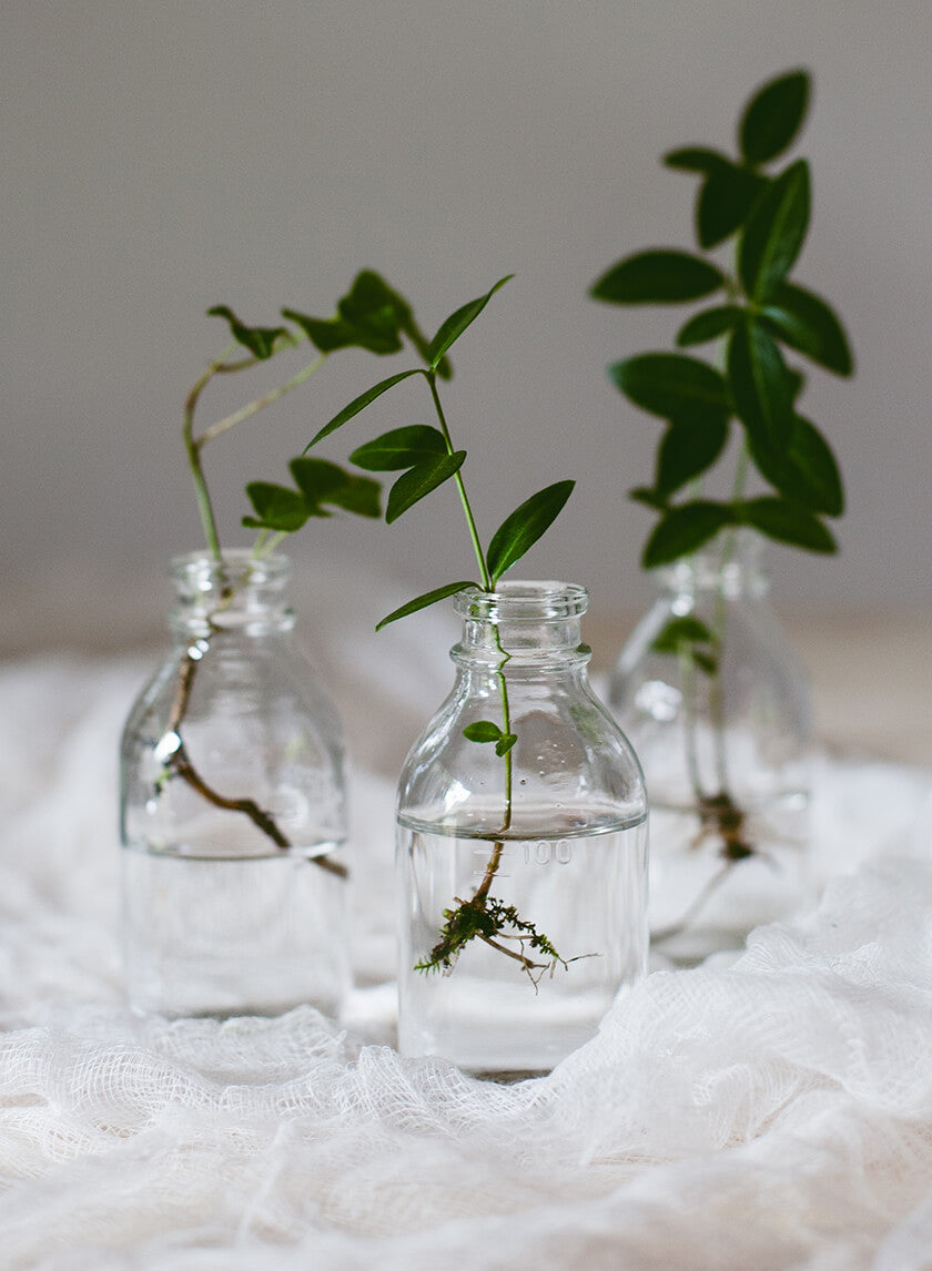 4in Tall Clear Glass Milk Bottle Vase, Mini Decor Jamali-garden