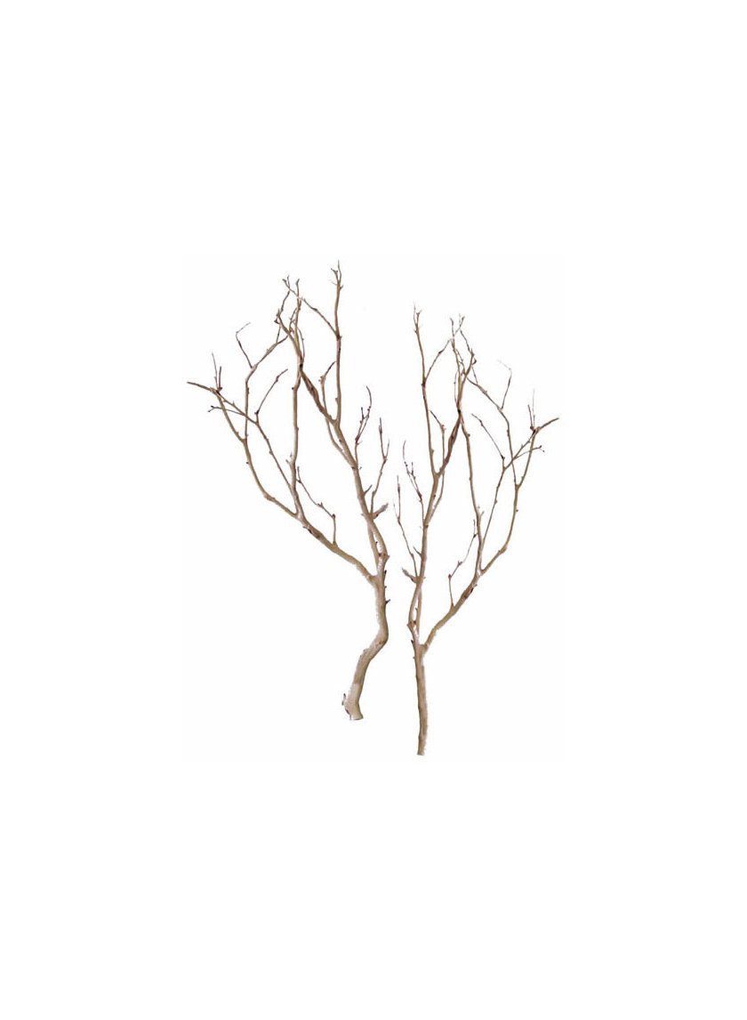 Sanded Ghostwood Branch Decor Jamali-garden