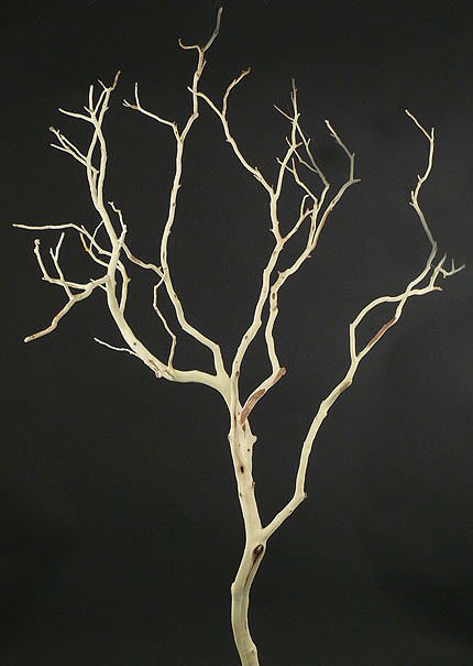 2ft &amp; 3ft Sanded Manzanita Branches Decor Jamali-garden