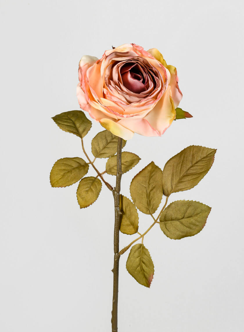 26.5in Long Peach Single Tea Rose Spray Decor Jamali-garden