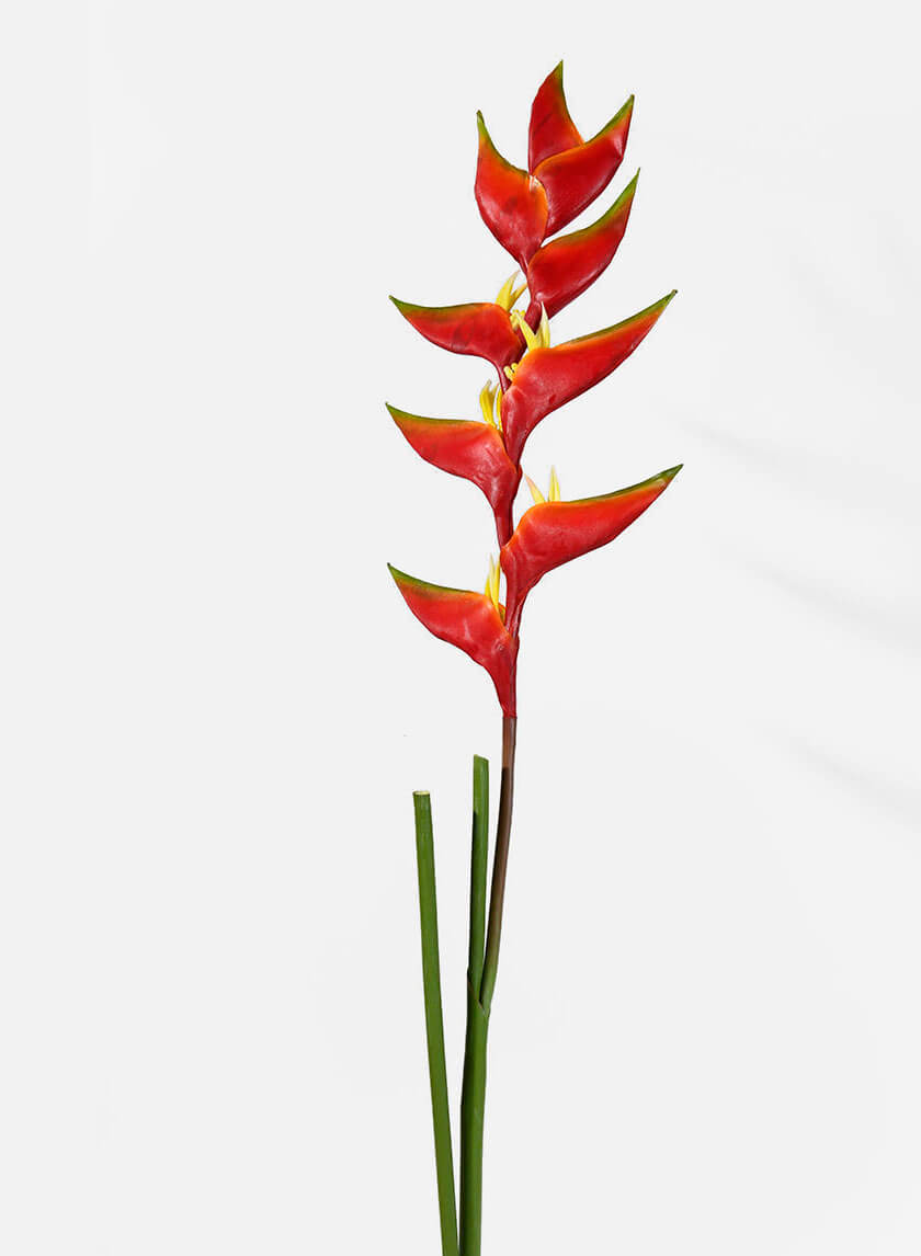 47in Long Heliconia Decor Jamali-garden