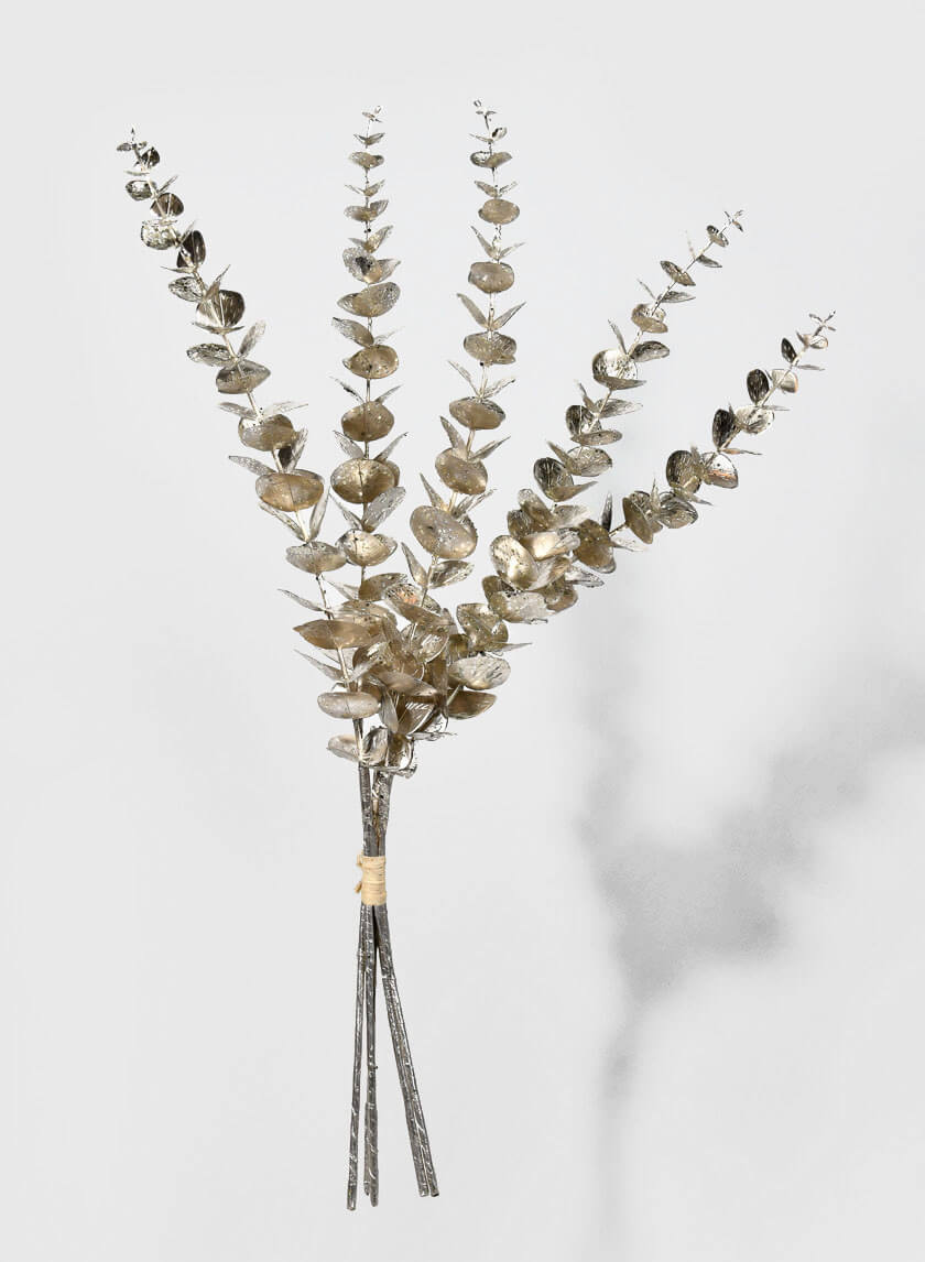 26in Long Champagne Eucalyptus Pick Decor Jamali-garden