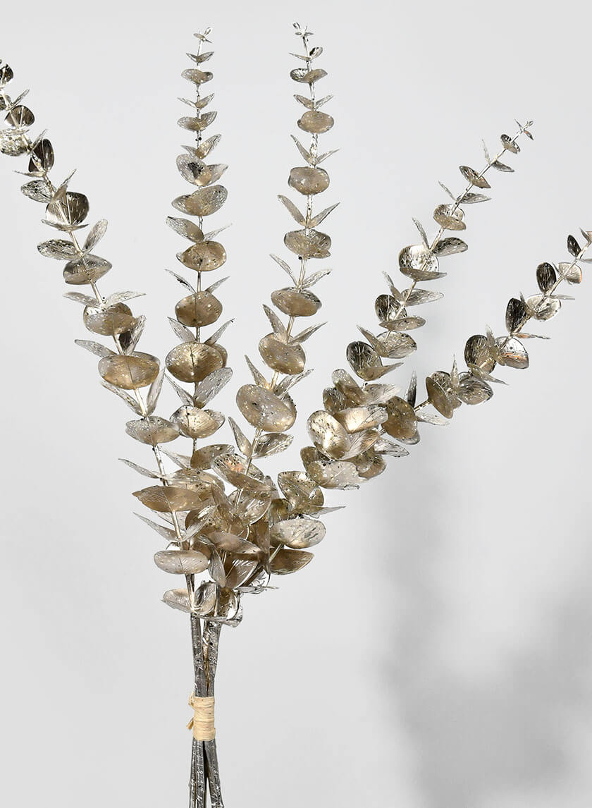 26in Long Champagne Eucalyptus Pick Decor Jamali-garden