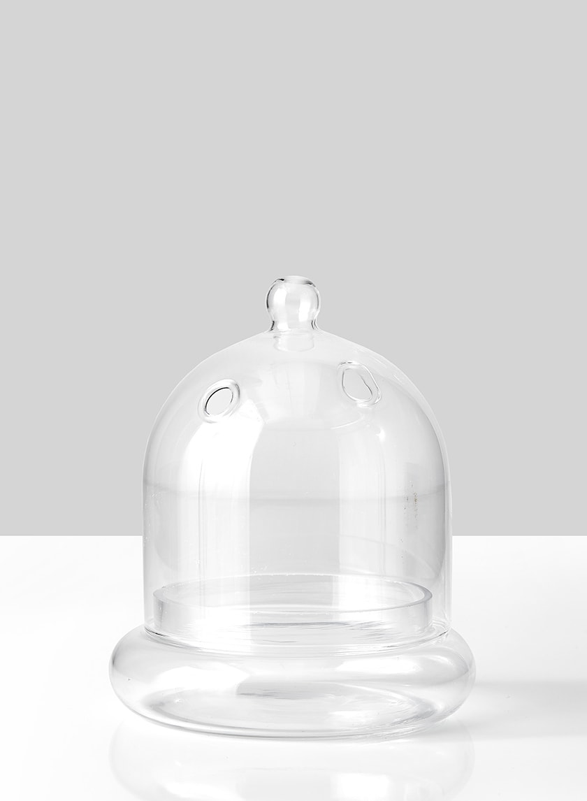 6in Tall Glass Terrarium Decor Jamali-garden