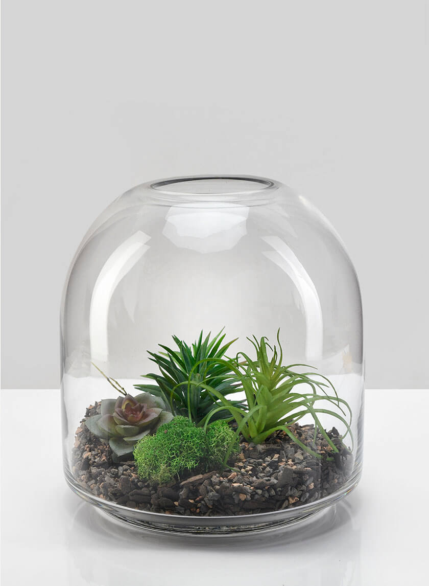 7.75in Tall Victoria Glass Terrarium, Small Decor Jamali-garden