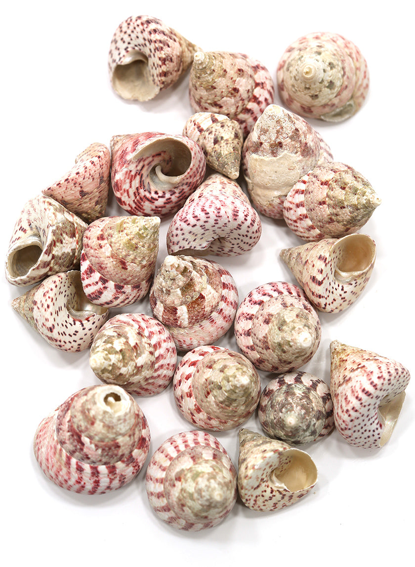 Strawberry Troca Decor Jamali-garden