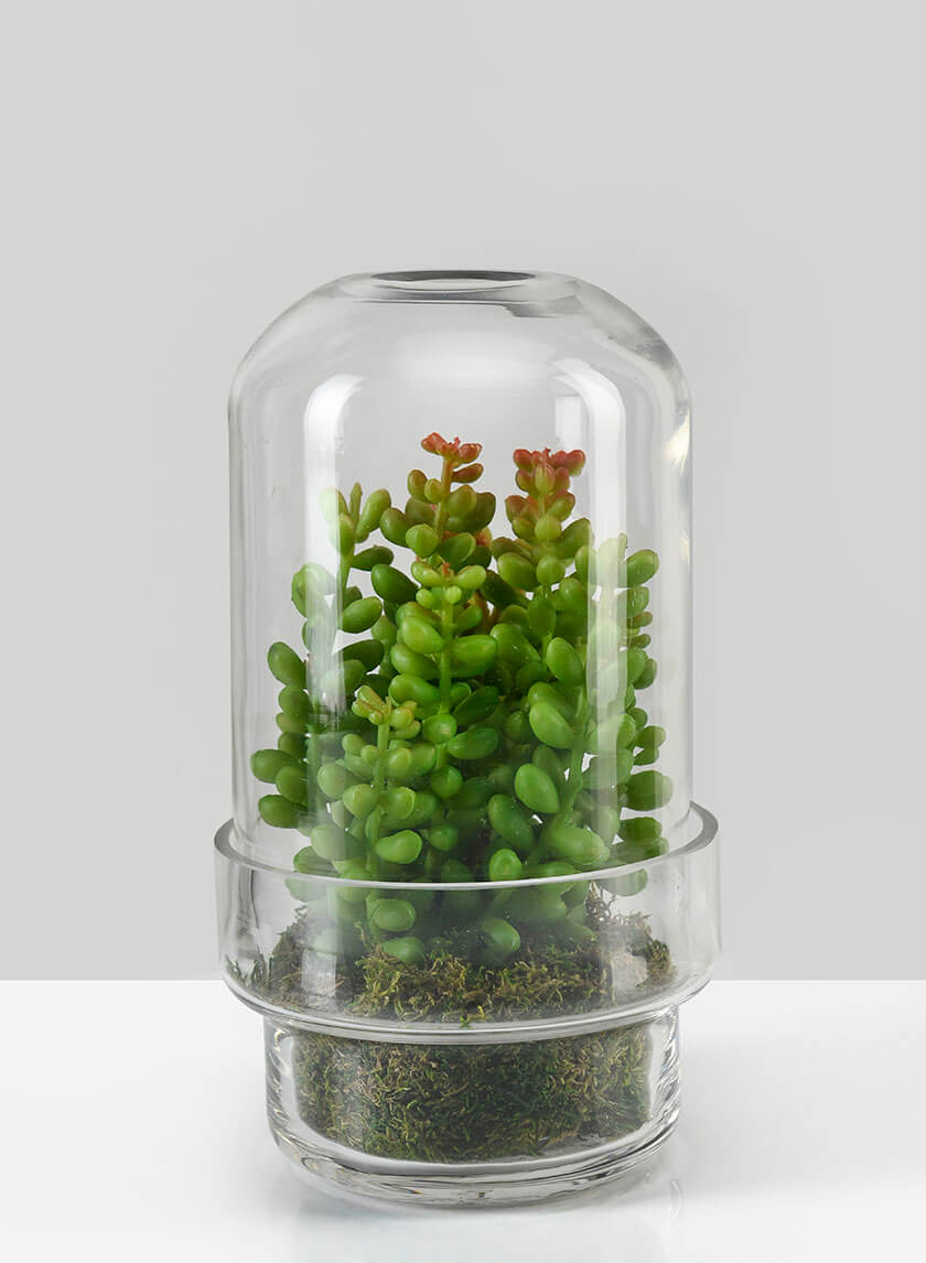 6.25in Tall Swazi Glass Terrarium, Small Decor Jamali-garden