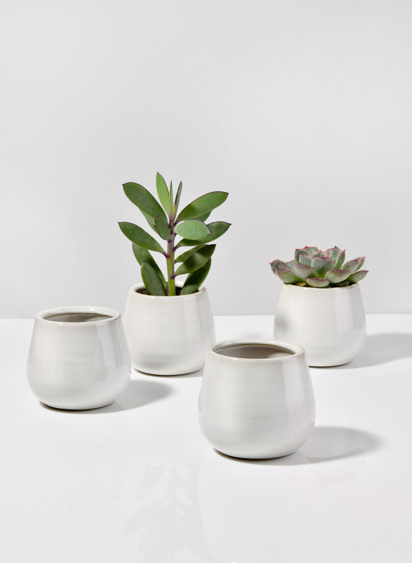 3in Tall White Stoneware Bowl Decor Jamali-garden