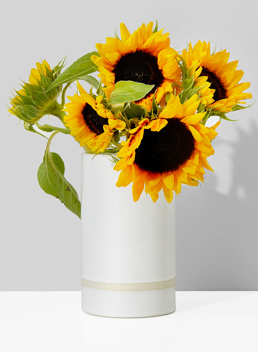 7in Tall White Ceramic Cylinder Vase Decor Jamali-garden