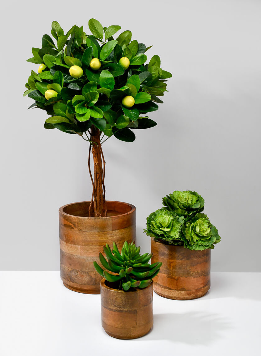 Salma Wood Cachepot Decor Jamali-garden