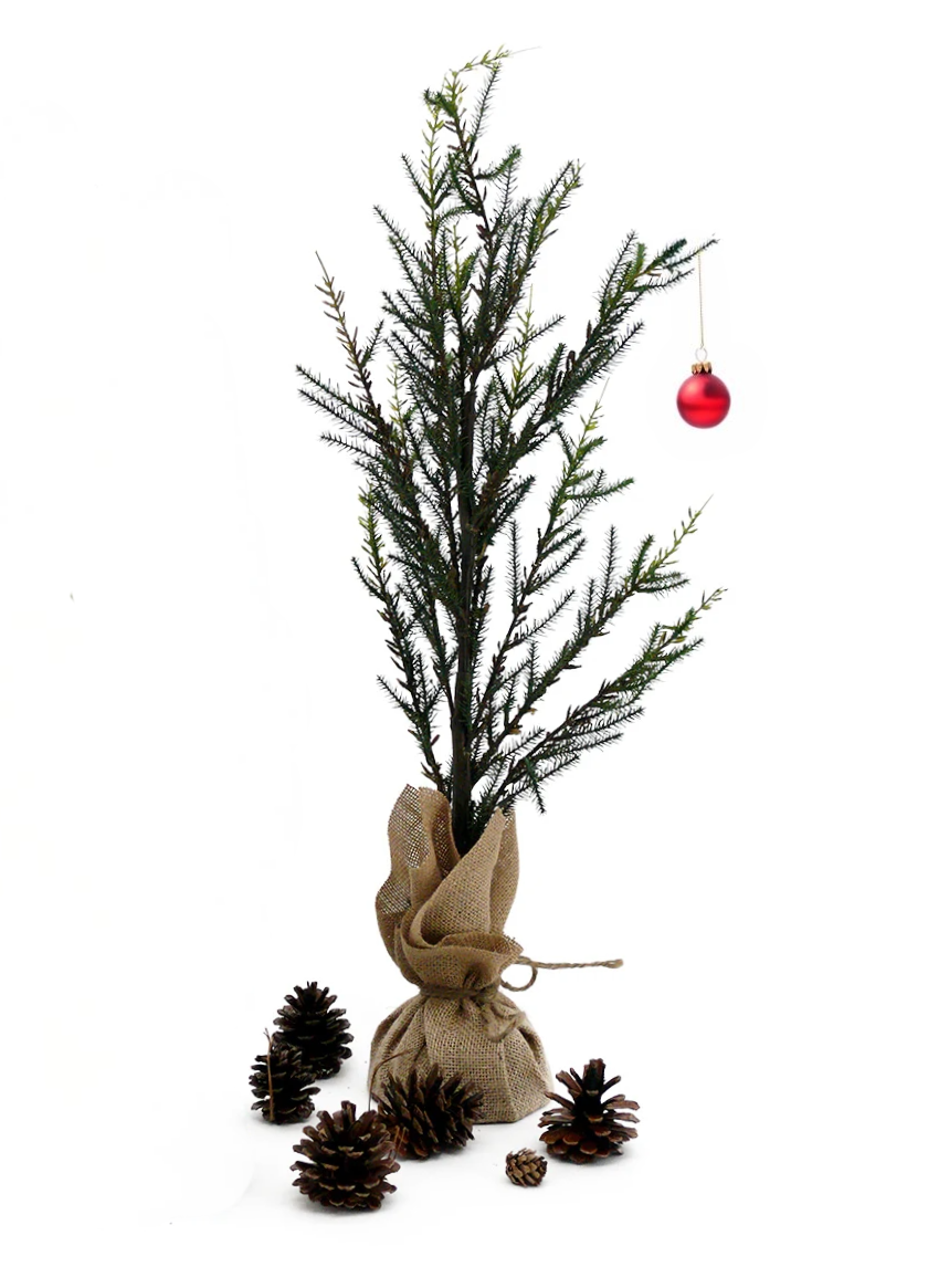 Pine Trees With Burlap Root Balls Decor Jamali-garden