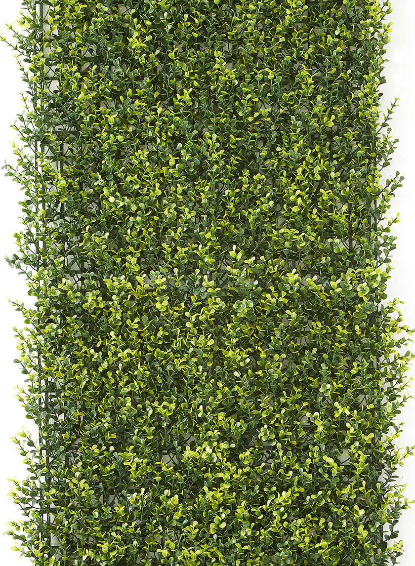 20in Square Variegated Long Boxwood Mat Decor Jamali-garden