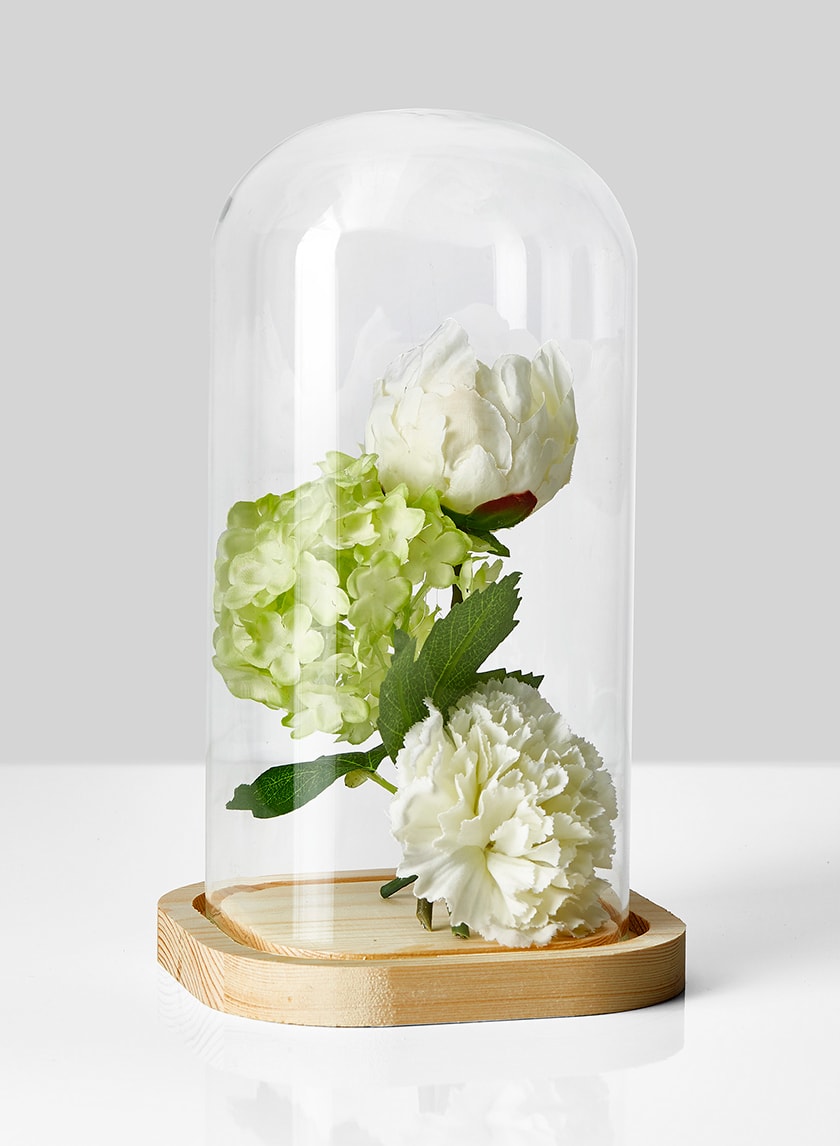 10in Tall Square Glass Cloche With A Wood Base Decor Jamali-garden