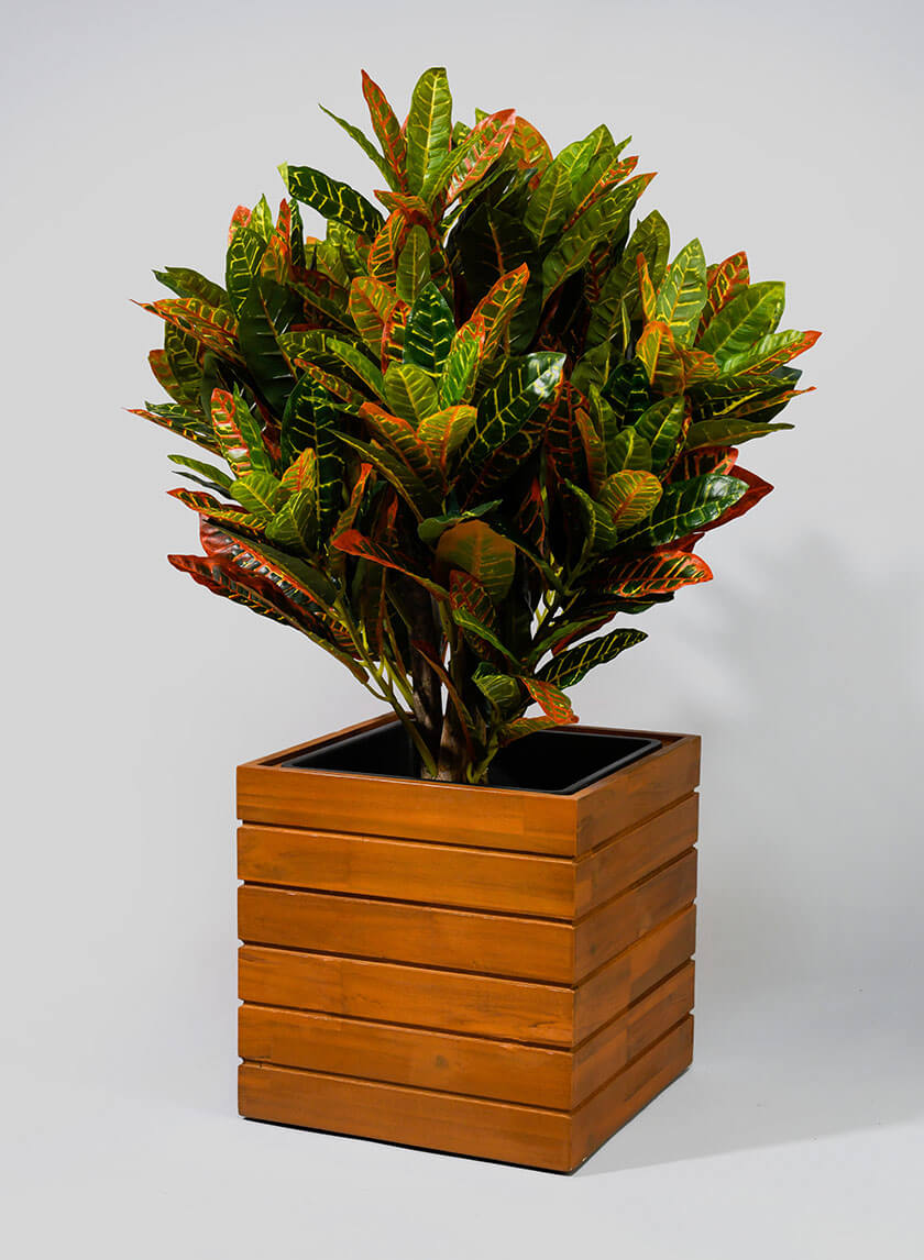 12in Tall Vuong Acacia Wood Planter Decor Jamali-garden