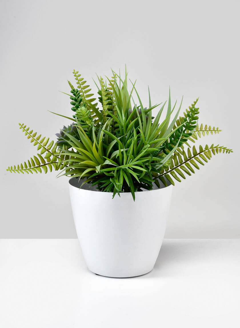 5.5in Tall White Elegance Cachepot, Set of 2 Decor Jamali-garden