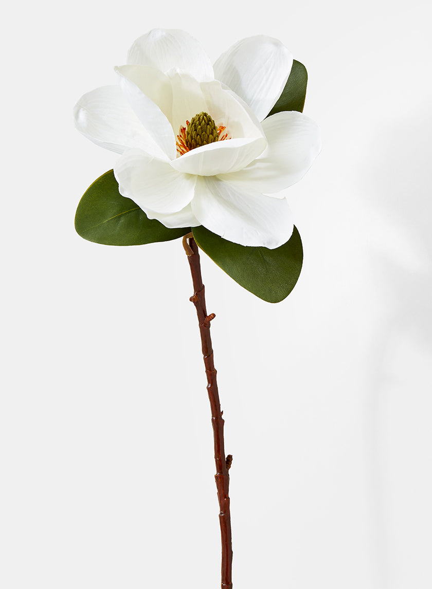 20in Long Magnolia Decor Jamali-garden