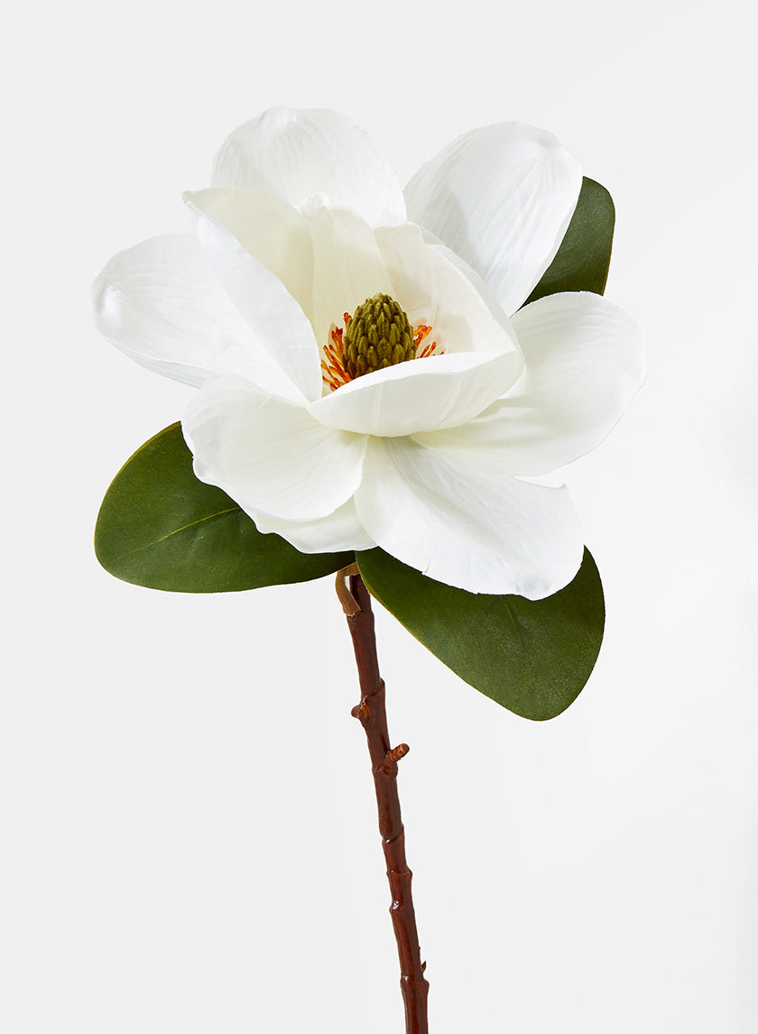 20in Long Magnolia Decor Jamali-garden