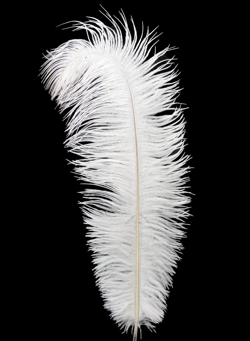 18-20in White Ostrich Feather Decor Jamali-garden