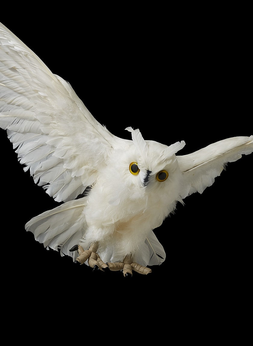 28in Flying White Owl Decor Jamali-garden