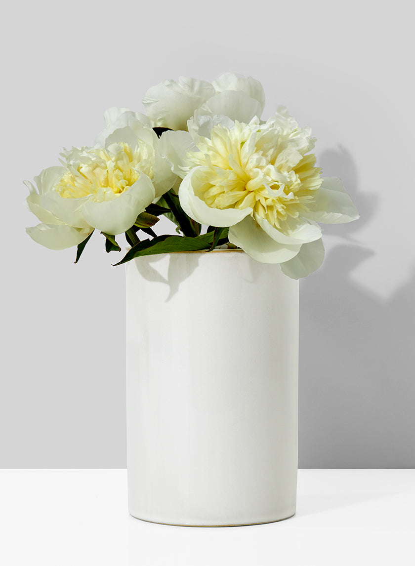 6.5in Tall White Ceramic Vase Decor Jamali-garden
