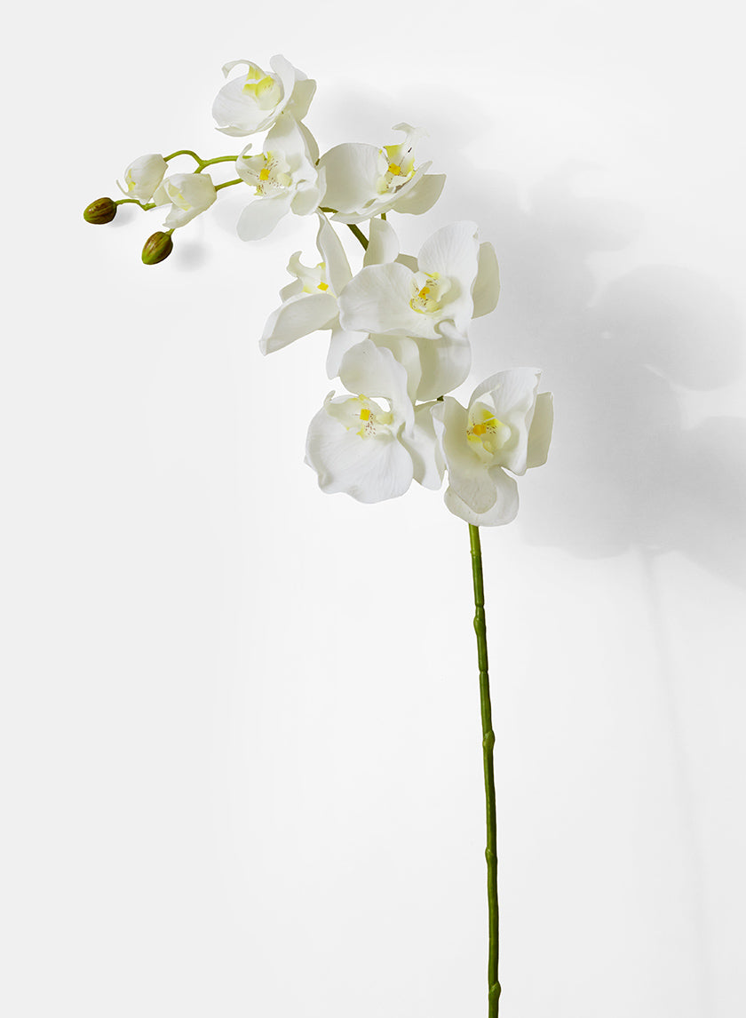 43in Long White Phalaenopsis Orchid Spray Decor Jamali-garden