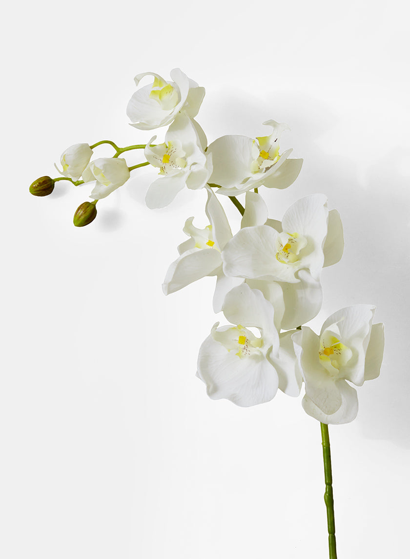 43in Long White Phalaenopsis Orchid Spray Decor Jamali-garden