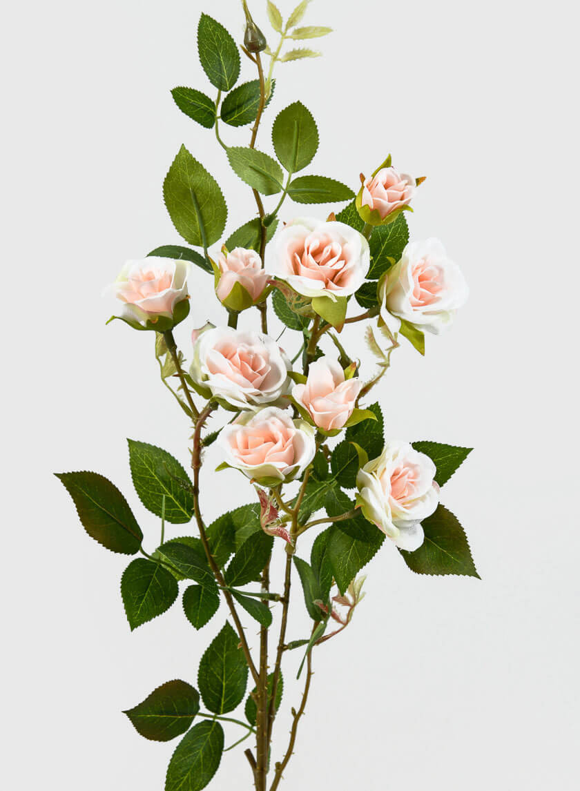 32in Long White &amp; Pink Old China Monthly Rose Decor Jamali-garden