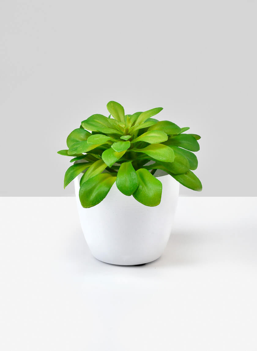 3.5in Tall White Elegance Cachepot, Set of 4 Decor Jamali-garden
