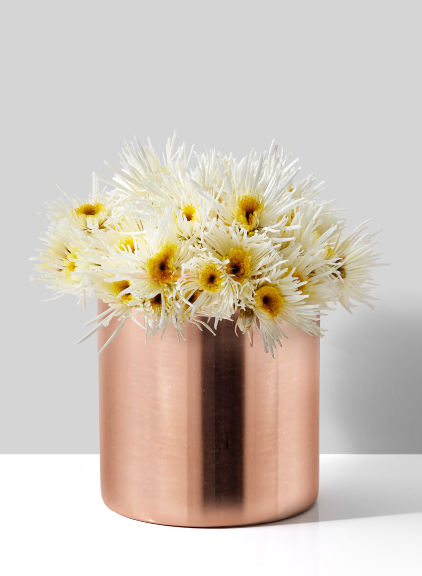 5in Tall Copper Plated Cylinder Vase Decor Jamali-garden