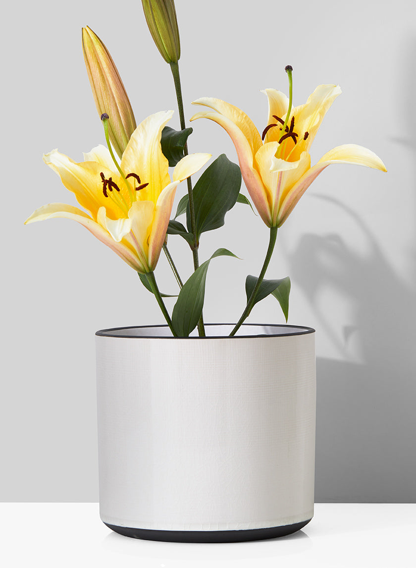 7.25in Tall White Linen Ceramic Cylinder Vase Decor Jamali-garden