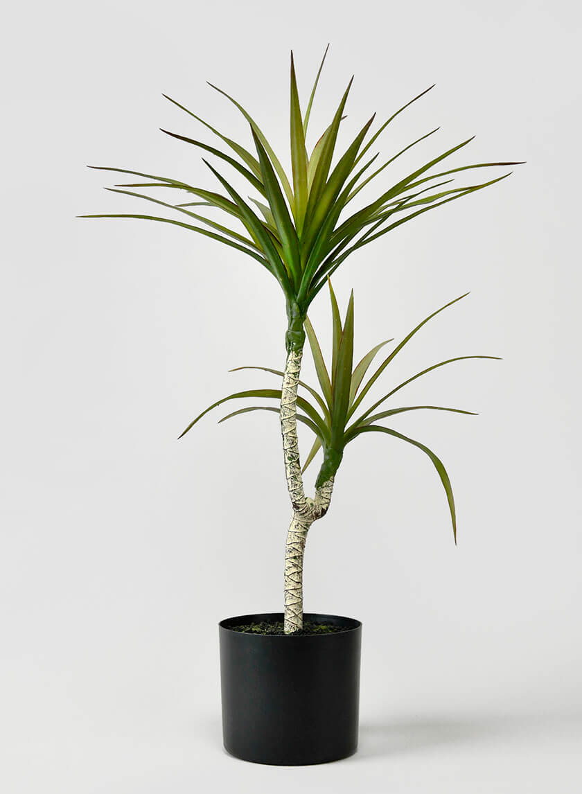 28in Tall Long Yucca Tree Decor Jamali-garden