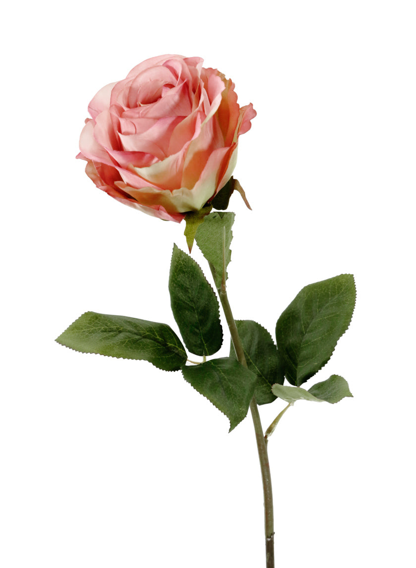 25in Long Pink Zhen Hui Large Rose Decor Jamali-garden